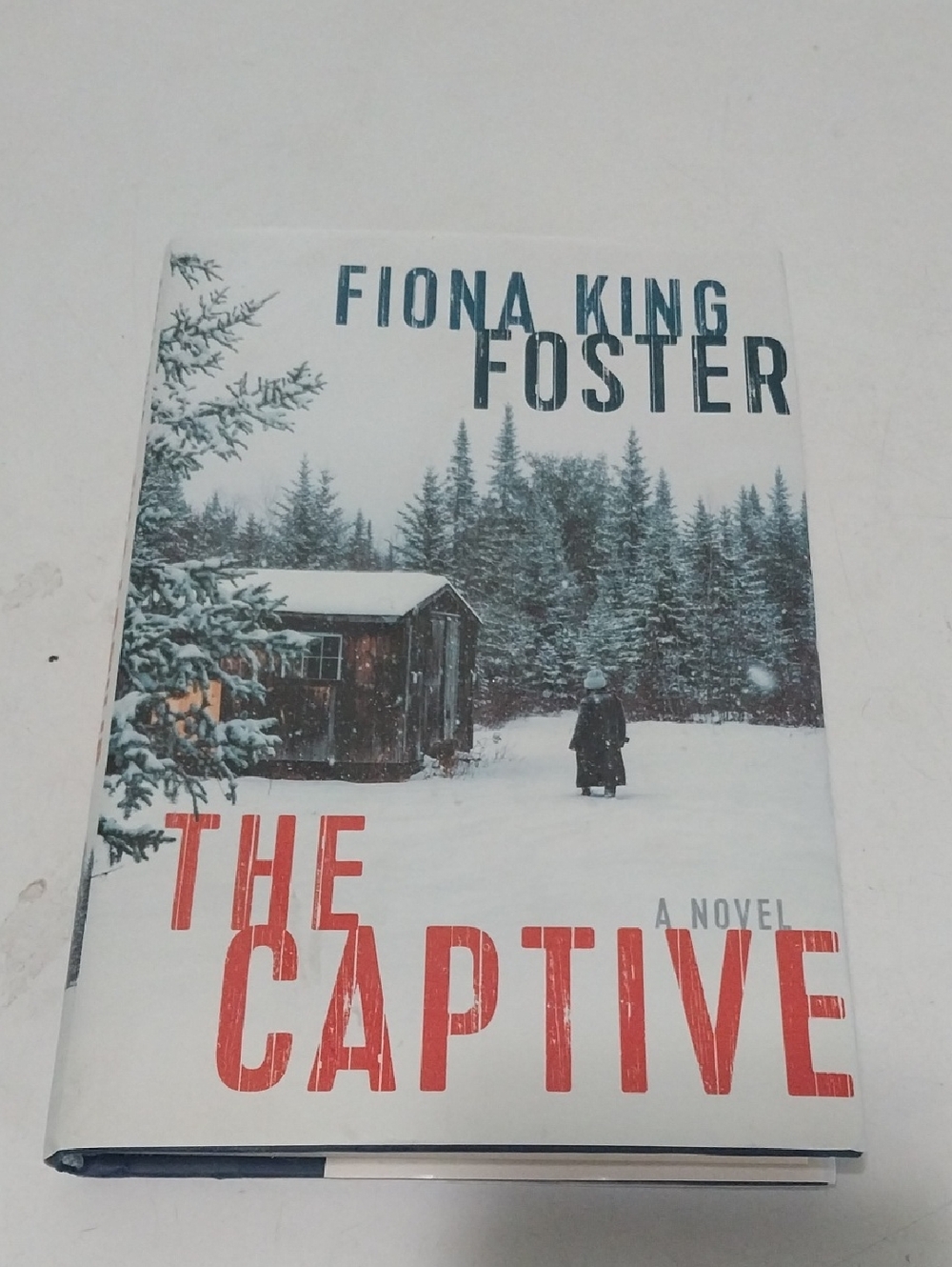 The Captive by Fiona King Foster - Snowy Cabin Book